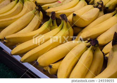 bunch of bananas at market stall bunch of bananas at market stall 24559055