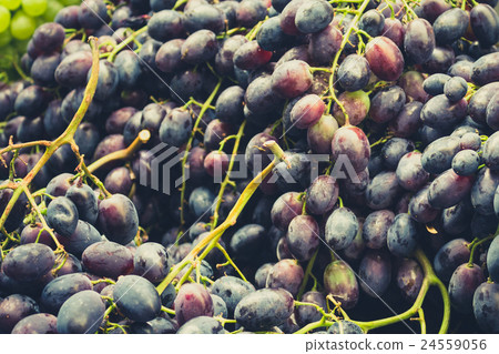 grapes closeup 24559056