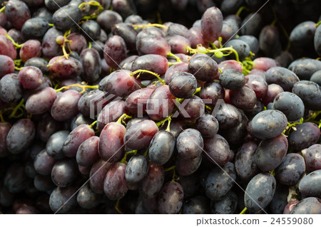 grapes closeup 24559080