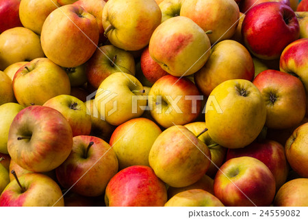 many apples - apple fruit background 24559082