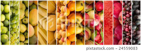 fruit collage - food background 24559083