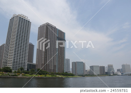 Mansion Mansion 24559781