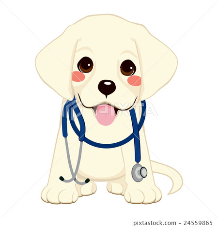 vet stethoscope