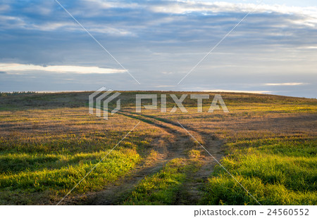 Sunset light in the field road. Belarus. Sunset light in the field road. Belarus. 24560552