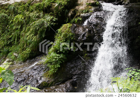 Ryugaku Taki (Female Falls) Ryugaku Taki (Female Falls) 24560632