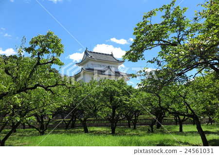 Nagoya castle small castle tower 24561031