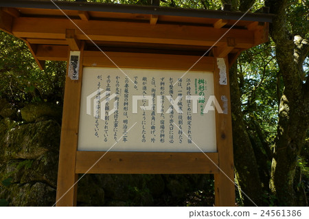 Traces of Masu-shaped 24561386