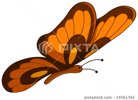 Vector butterfly 24561392