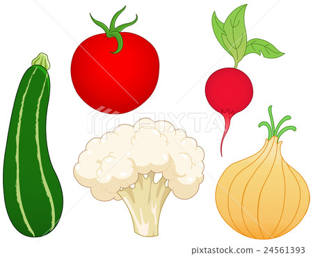 Vegetable set 1 24561393