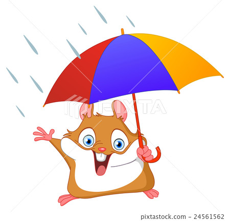 Winter hamster Winter hamster 24561562