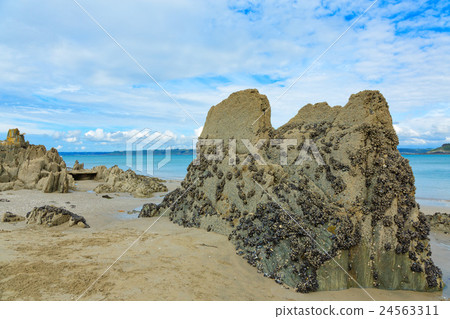 在岩石岩石海灘岩石的阿穆爾河貝殼在布里坦尼避暑勝地的 24563311