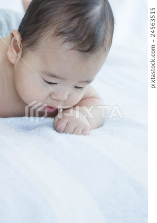 3 months old baby 3 months old baby 24563515