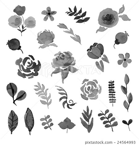 Vector floral set. Watercolor style design Vector floral set. Watercolor style design 24564993