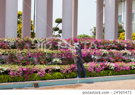 Man watering the garden 24565471