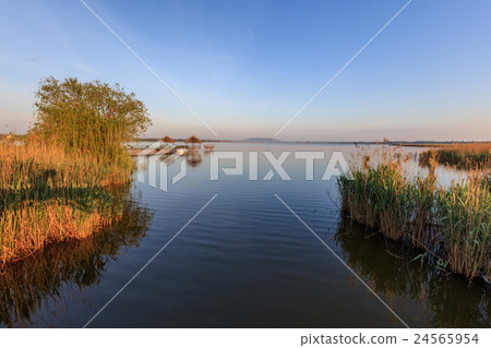 sunrise in Danube Delta 24565954