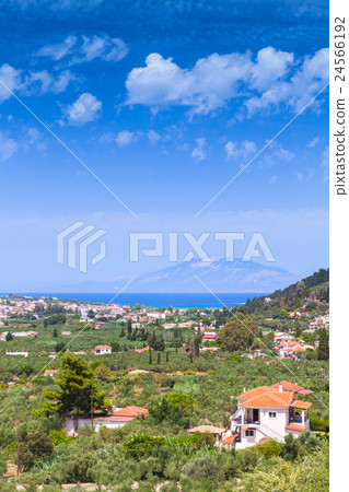 Vertical summer rural landscape of Zakynthos 24566192