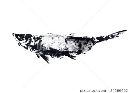 outline ink print on white ground, black fish 24566462