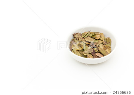 Uwa Rushes：Uva-ursi 24566686