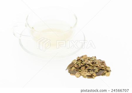 Uwa Rushi Tea: Uva-ursi tea Uwa Rushi Tea: Uva-ursi tea 24566707