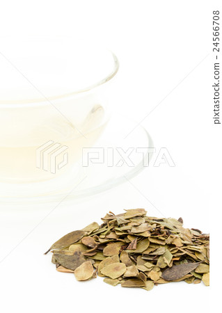 Uwa Rushi Tea: Uva-ursi tea Uwa Rushi Tea: Uva-ursi tea 24566708