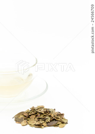 Uwa Rushi Tea: Uva-ursi tea Uwa Rushi Tea: Uva-ursi tea 24566709