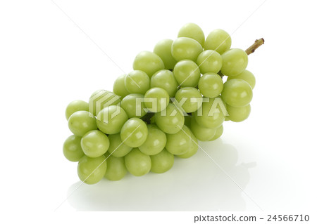 藍色的葡萄 24566710