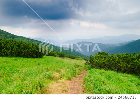 Path on the mountains Path on the mountains 24566715