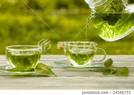 The melissa tea The melissa tea 24566755