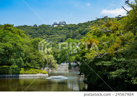 松山城和城山公園 24567984