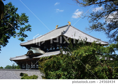 奈良“Todaiji”：從東方看大佛 24568434