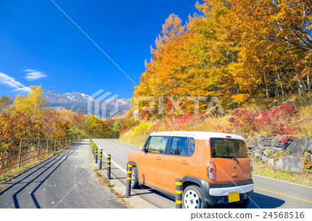 在Norikura Kogen開車 24568516