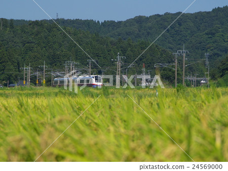 限量快遞Susan Yuri和Inabo 24569000