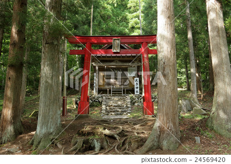 竹神社 竹神社 24569420