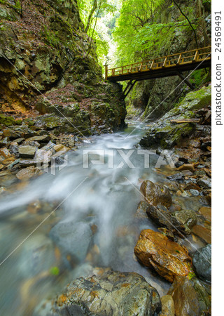 Mountain stream 24569491