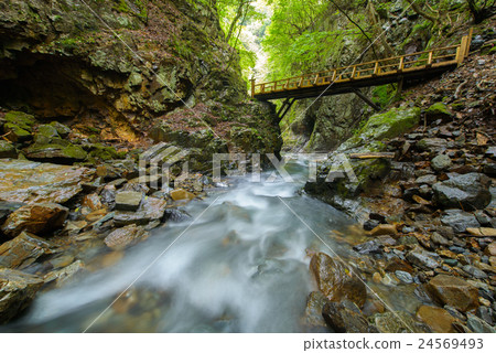 Mountain stream 24569493
