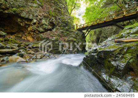 Mountain stream Mountain stream 24569495