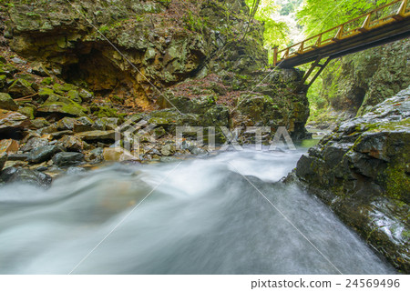 Mountain stream Mountain stream 24569496