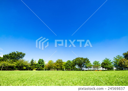 藍天和公園廣場 藍天和公園廣場 24569837