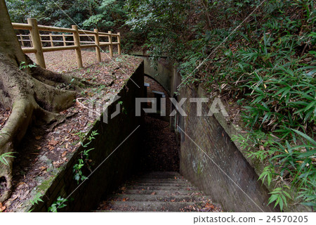 Katayashi廢墟樓梯 24570205
