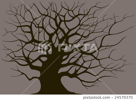 Silhouette branching of an old tree 24570370