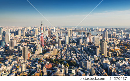 Skyline of Tokyo Cityscape with Tokyo Tower 24570487