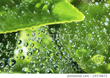 Drift of water 24570672