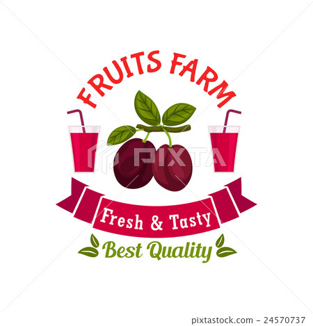 Fruits farm plums on stem with leaves Fruits farm plums on stem with leaves 24570737