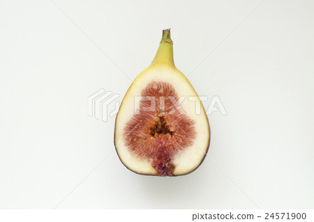無花果 無花果 24571900