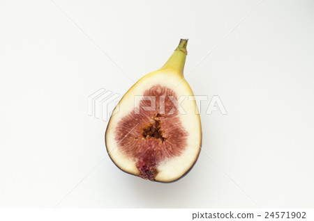 FIG FIG 24571902