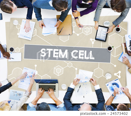 Business Team Meeting Brainstorming Planning Concept Business Team Meeting Brainstorming Planning Concept 24573402