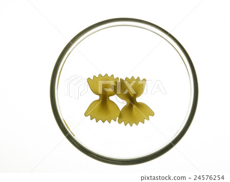 farfalle 24576254