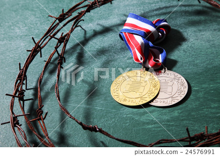 reward reward 24576991