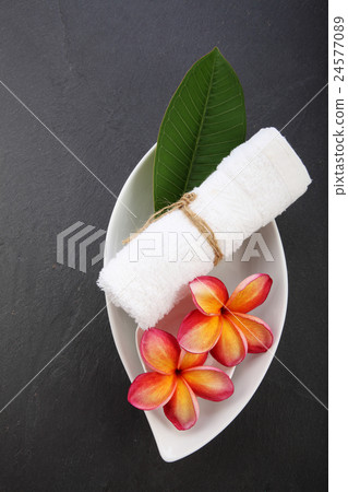 frangipani 24577089
