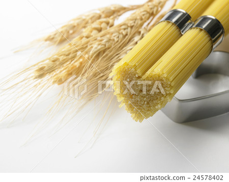 spaghetti spaghetti 24578402